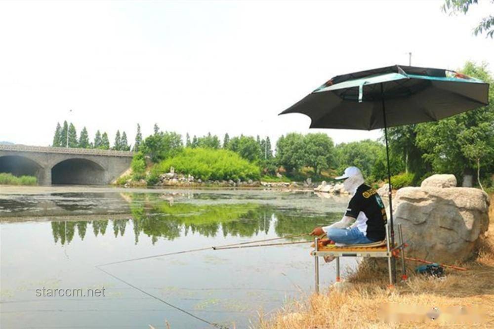 钓鱼佬的最高礼仪：出水即入锅的深度解析